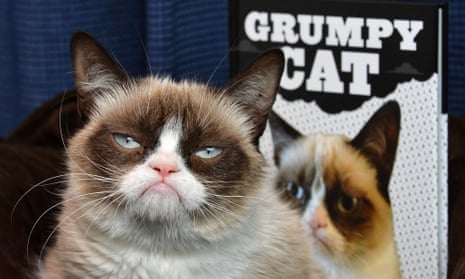 The Grumpy Cat book has spent 10 weeks on the New York Times bestsellers list.