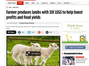 Six-legged lambs