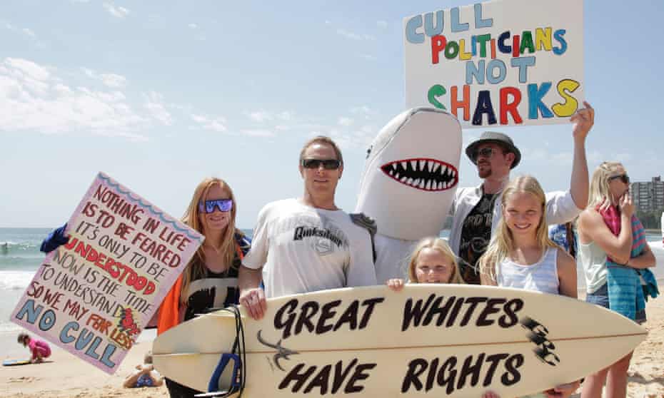 A protest against Western Australia's state government's shark killing policy on Manly beach in Sydney.