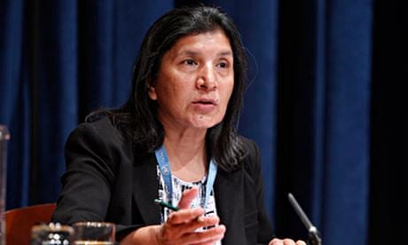 Rashida Manjoo, UN special rapporteur