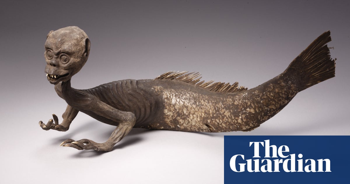 Download Mysterious Mermaid Stripped Naked Zoology The Guardian For Android Wallpaper Mysterious Mermaid Stripped Naked Zoology The Guardian For iPhone Free