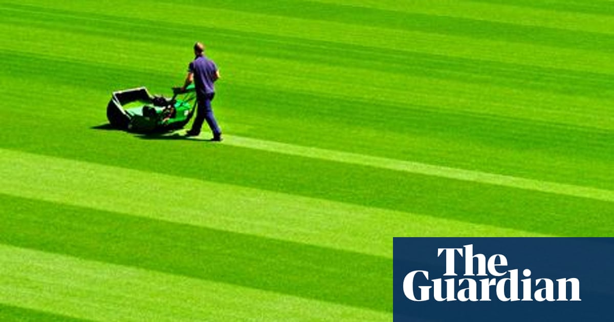 Buying A Lawnmower A Guide Money The Guardian