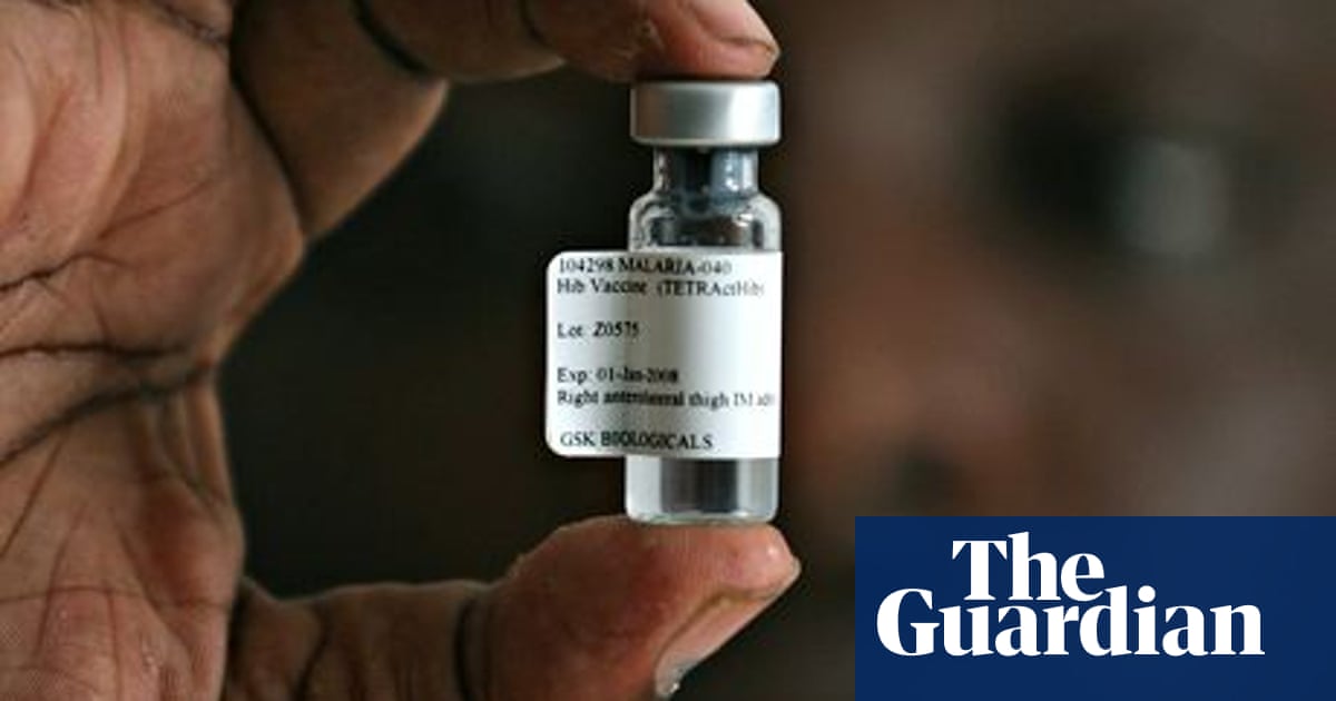 Malaria: is a vaccine the silver bullet? | Global health innovation -  global development professionals network | The Guardian
