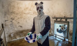 China's Giant Panda Research Center
