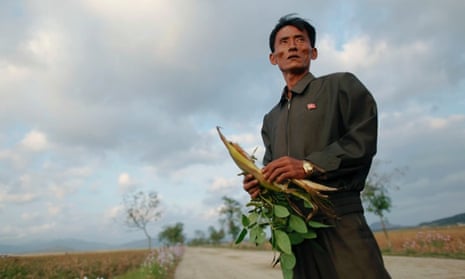 North Korea food farmer