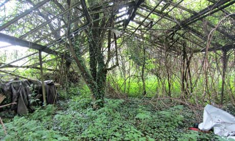 Overgrown greenhouse/building structure at Heathrow