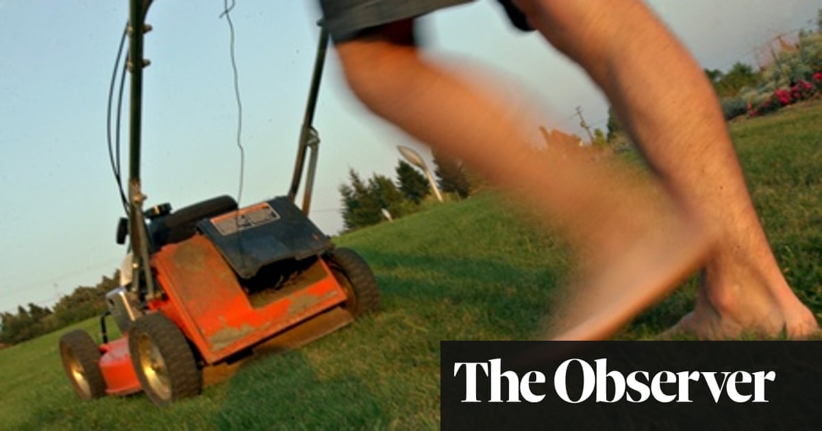 Should I Get A Mains Powered Lawn Mower Or One With A Lithium Ion Battery Gardens The Guardian