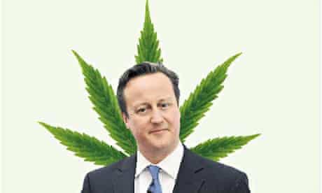 David Cameron with cannabis leaf