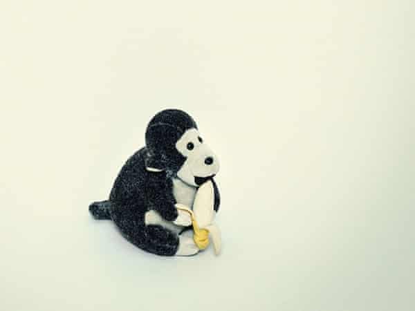 When I met Jane Goodall she hugged me like a chimp Jane Goodall The Guardian