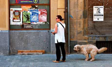 A dog defacates in the street Pamplona, Spain