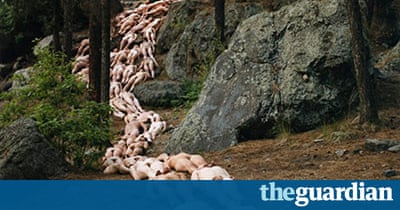 Image Result For Spencer Tunick Image Result For Spencer Tunick