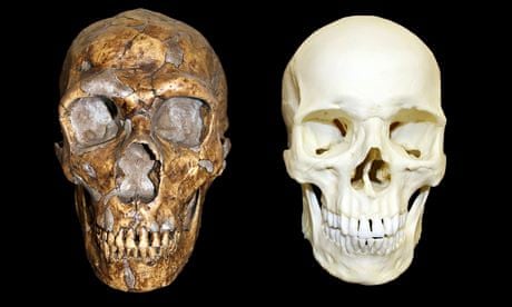 Is there scientific evidence of prehistoric man (Neanderthal or