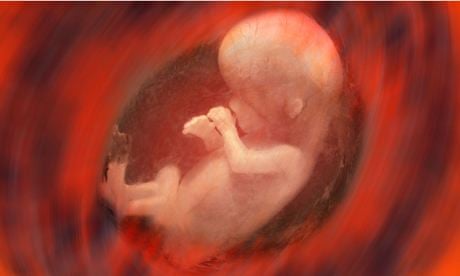 How a child's food preferences begin in the womb | Life and style ... How a child's food preferences begin in the womb | Life and style ...