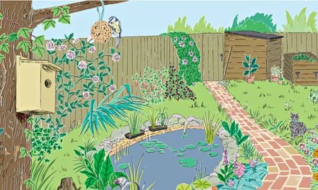 How to make a wildlife-friendly garden | Wildlife | The Guardian