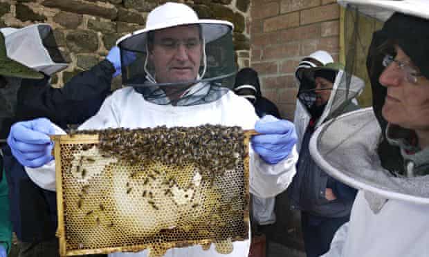 Bee Orgies To Biodiversity Lessons In Becoming A Beekeeper Live Better The Guardian Bee Orgies To Biodiversity Lessons In Becoming A Beekeeper Live Better The Guardian