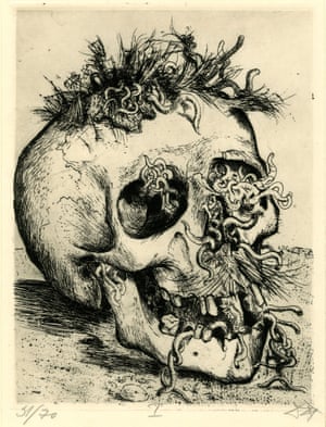 Der Krieg no.31 Skull (Schädel) For all its waste, the war provided a windfall for scavengers. The First World War produced generations of happy worms and maggots. Trench rats roamed as big as beavers. Gas was sometimes a welcome respite as it decimated these pests.