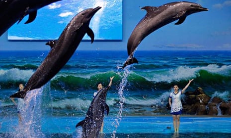 North Korea dolphin trainer 
