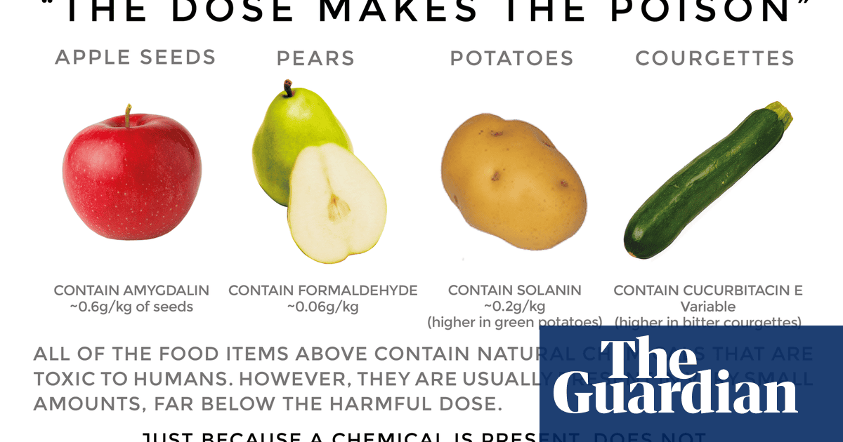 chemicals in food and their effects)