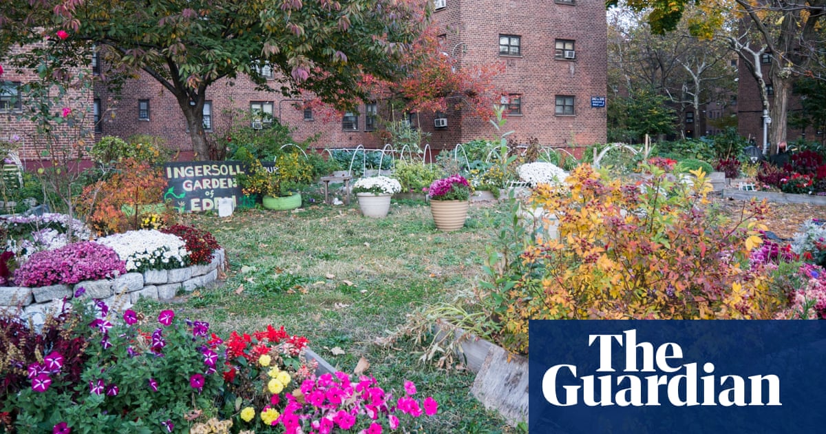 New York Success Story Growing The Garden Of Eden In Brooklyn