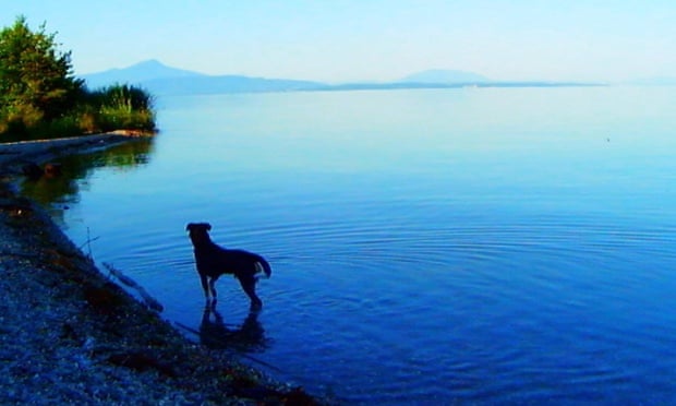 Say goodbye to language