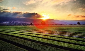 earthbound founder wants eat farm change way guardian