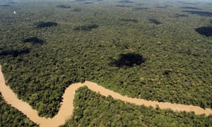 Yasuni national park