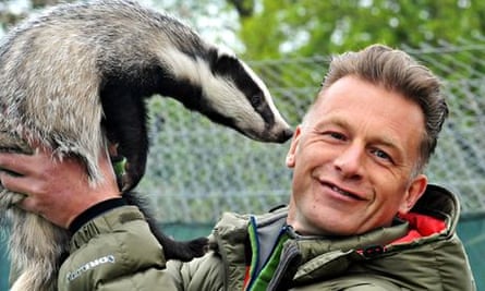 packham springwatch badger dung