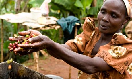 Fairtrade accused of failing to deliver benefits to African