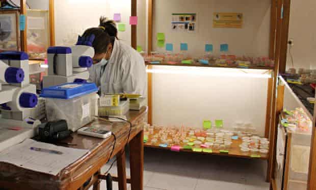 Fly breeding lab at the Charles Darwin Research Station in the Galapagos