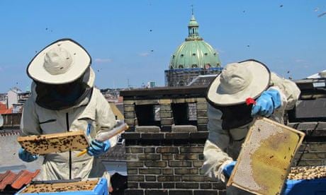 III. The Role of Beekeeping in Sustainable Development
