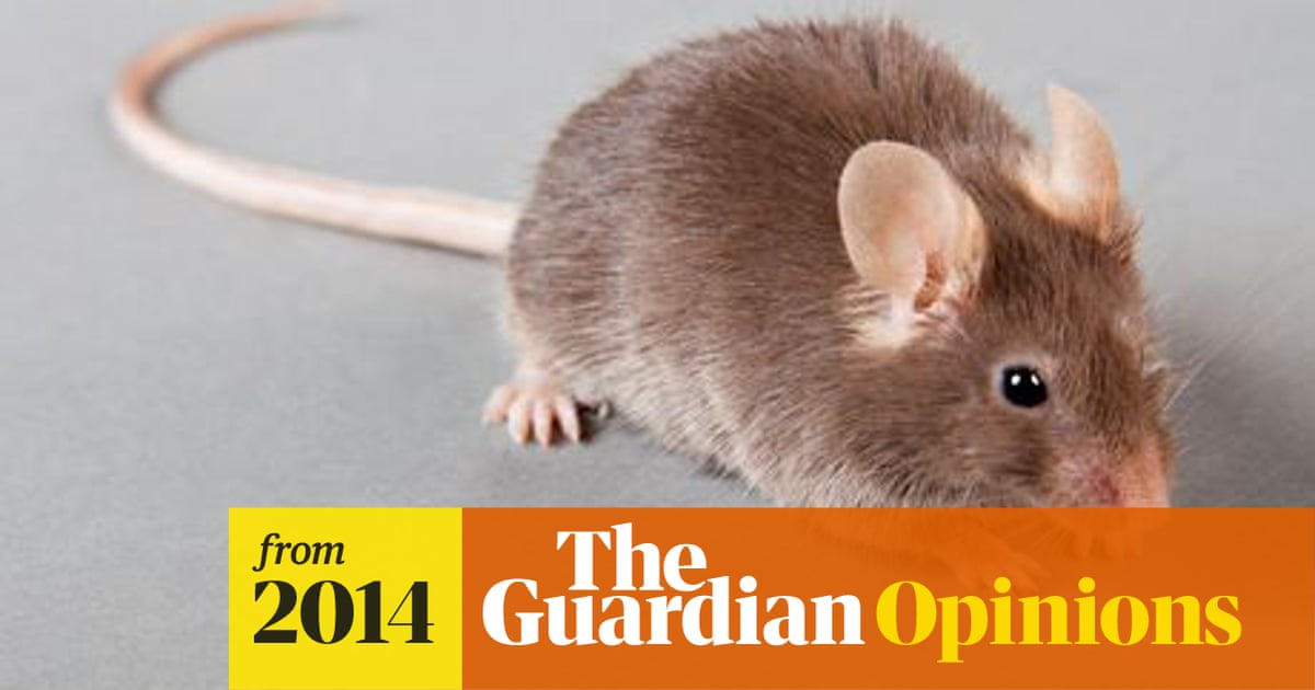 Blood transfusions rejuvenate mice. Could they do the same for humans? |  Simon Jenkins | The Guardian