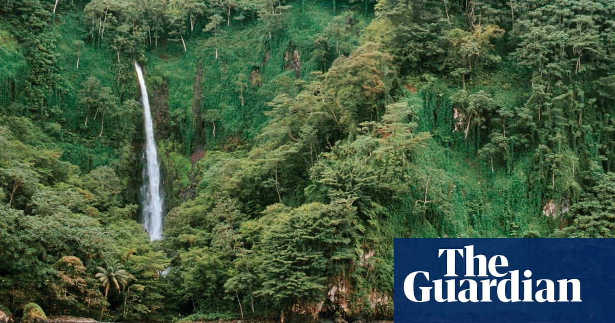 Cocos Island's rich pirate history | Oceans | The Guardian Cocos Island's rich pirate history | Oceans | The Guardian