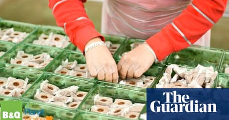 b q sells bedding plants in compostable containers guardian sustainable business the guardian