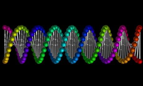 DNA double helix. Image shot 2012. Exact date unknown.