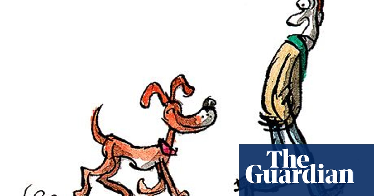Tim Dowling: the old dog's disappeared into the night | Family | The  Guardian