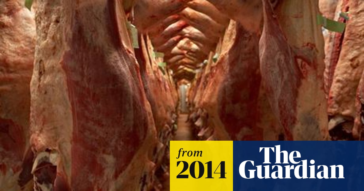 What exactly does the halal method of animal slaughter involve? | Meat |  The Guardian