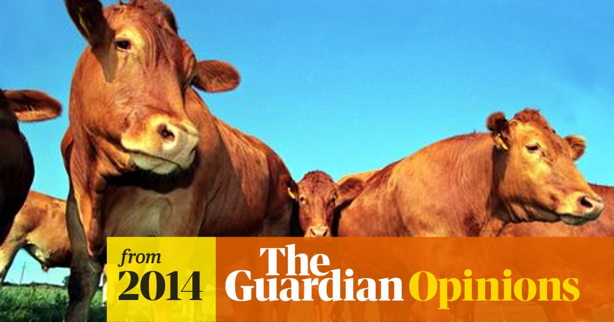 Halal meat: animals shouldn't suffer, but we mustn't ostracise minorities |  Jonathan Freedland | The Guardian