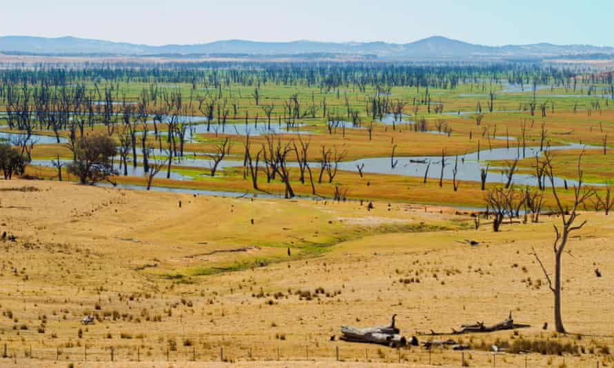 Low water levels at Lake Hume (a man-made reservoir near Albury Wodonga) during dry summer of 2007, when occured El Nino,  in northeastern Victoria, Australia.