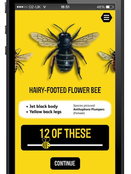 The Great British Bee Count app