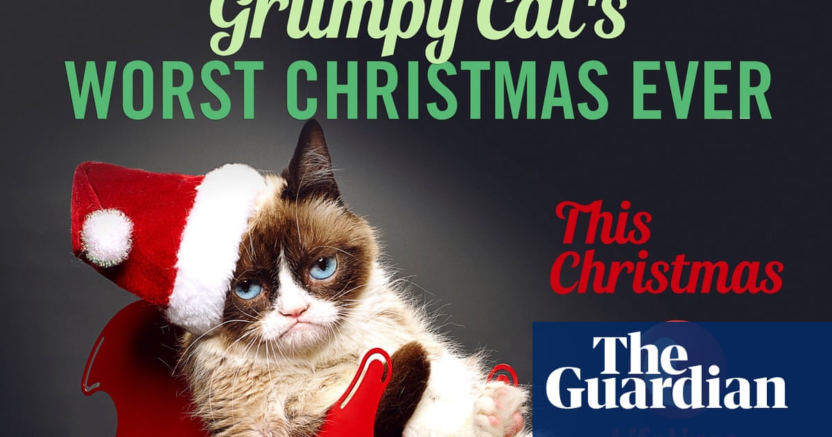 After The Grumpy Cat Movie Which Other Memes Should Become Films Movies The Guardian Grumpy Cats Worst Christmas Ever