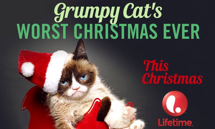 After the Grumpy Cat movie, which other memes should become films? | Movies | The Guardian After The Grumpy Cat Movie, Which Other Memes Should Become Films? | Movies | The Guardian