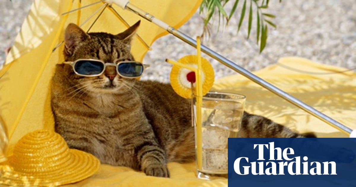 Tefl Jobs How To Write A Cv For Teaching English Abroad