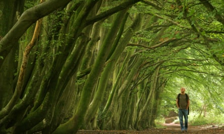 A man walks along a tree lined path on the South Downs near Chichester in West Sussex in southern England
