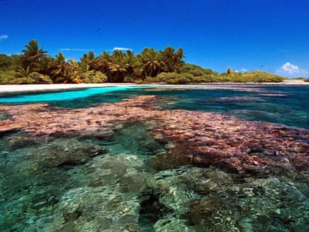 Reef of the Millennium Island, Republic of Kiribati,  south pacific island