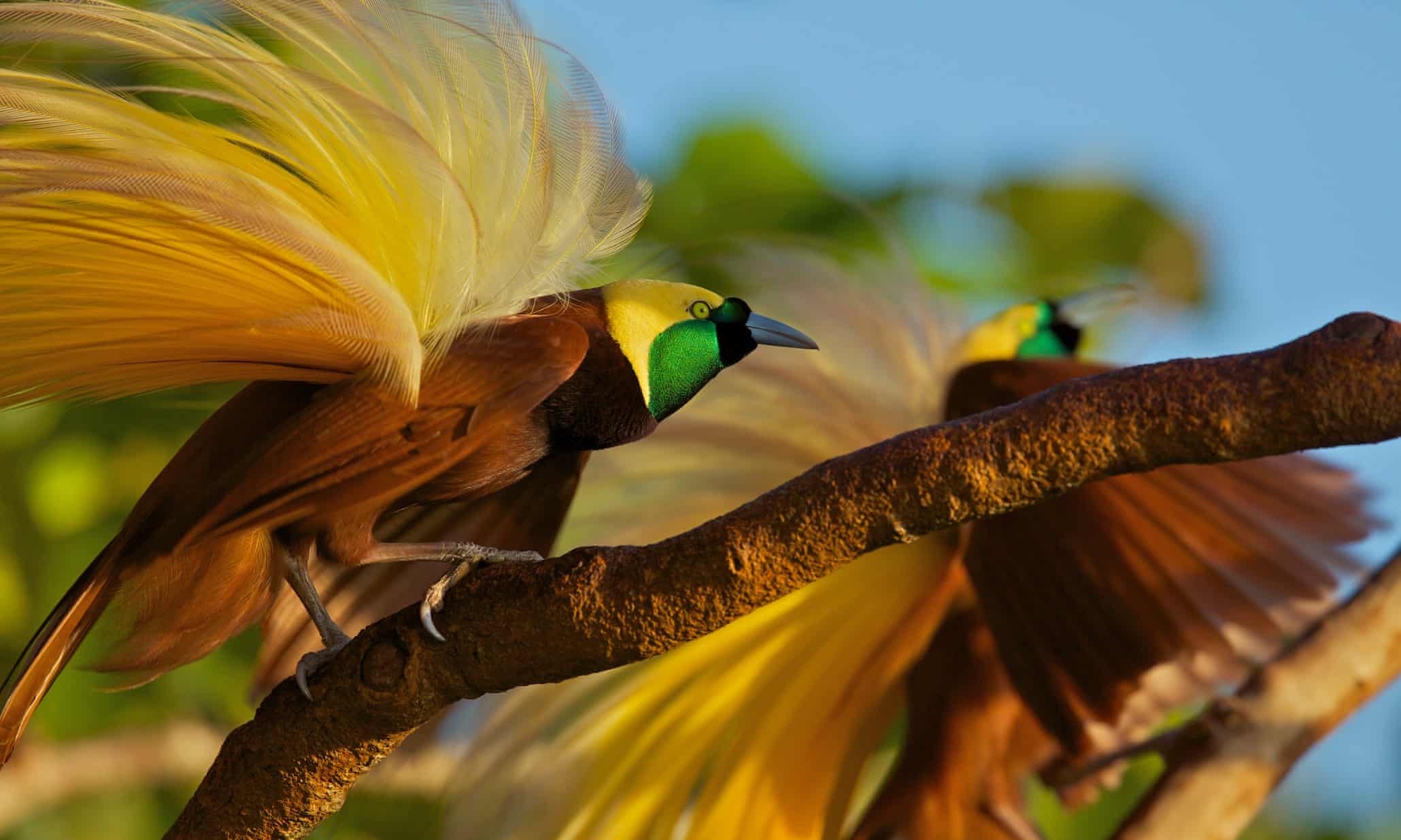 Wildscreen photography festival 2014 – in pictures