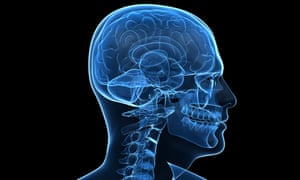 If Genes Dont Turn Off Brains Wiring >> How I Discovered I Have The Brain Of A Psychopath James Fallon If Genes Dont Turn Off Brains Wiring >> How I Discovered I Have The Brain Of A Psychopath James Fallon