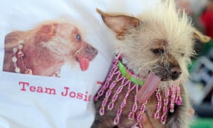 Josie, a previous winner of the competition, sticks out her tongue during the contest