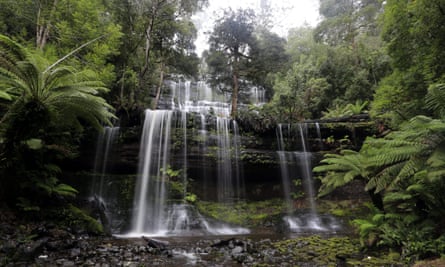 Russell Falls, a waterfall deep in Mt Field National Park, Tasmania, Australia.