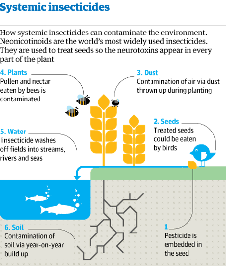 Νεονικοτινοειδή Εντομοκτόνα