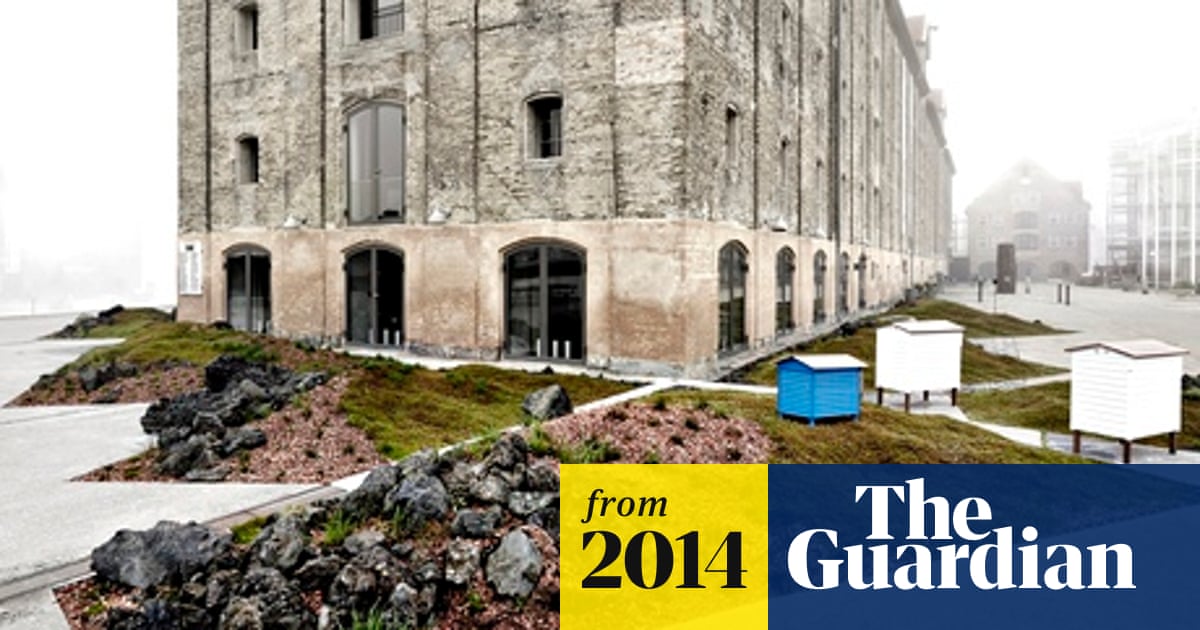 Ære Bløde fødder blok Noma restaurant creates garden as buffer zone against gawkers | Copenhagen  holidays | The Guardian